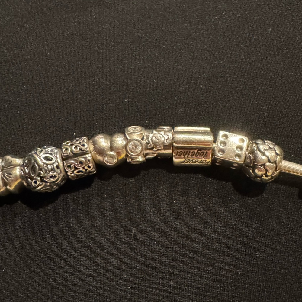 Pandora Silver Bracelet with 15 Charms. Like new ! - Picture 5 of 5